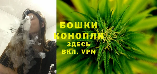 шишки Ахтубинск